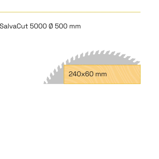 Official SalvaCut 5000 cutting section diagram showing 300 by 95 millimetres
